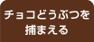 チョコどうぶつを捕まえる