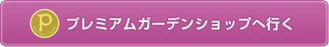 タネを買いに行く