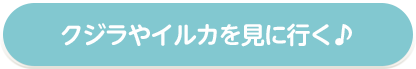 クジラやイルカを見に行く