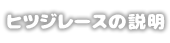 羊レースの説明