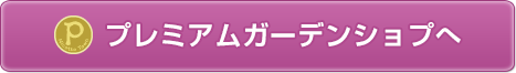 タネを買いに行く